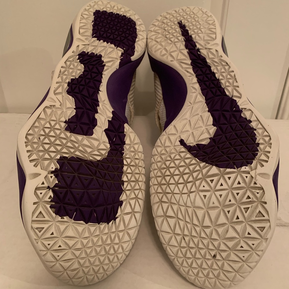 Lebron - Picture 7 of 7
